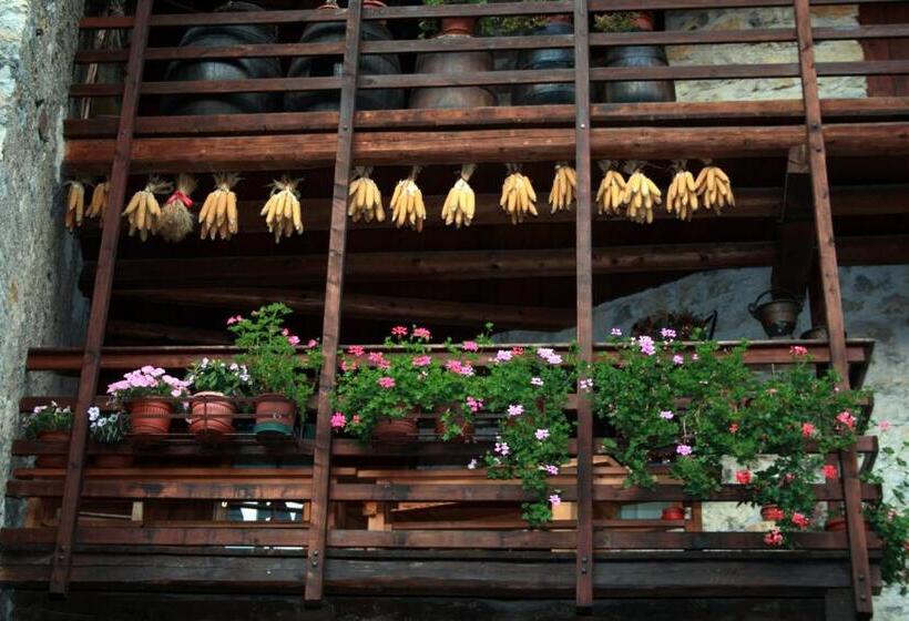 Отель Albergo Stella Alpina