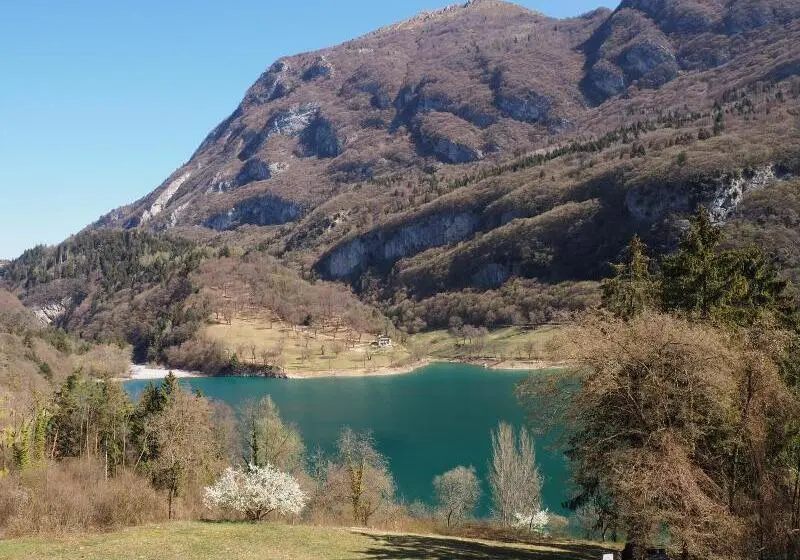 Hotelli Albergo Stella Alpina