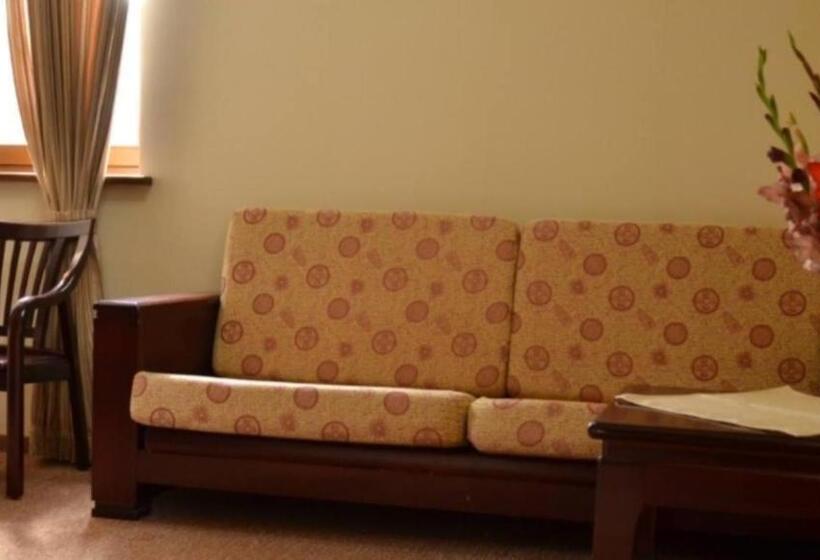 Отель Shovkova Kositsya