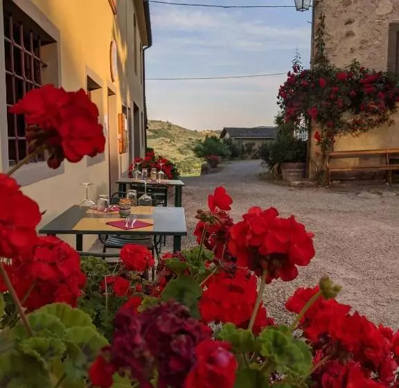 Aamiaismajoitus (B&B) Agriturismo La Fattoria Di Capezzana