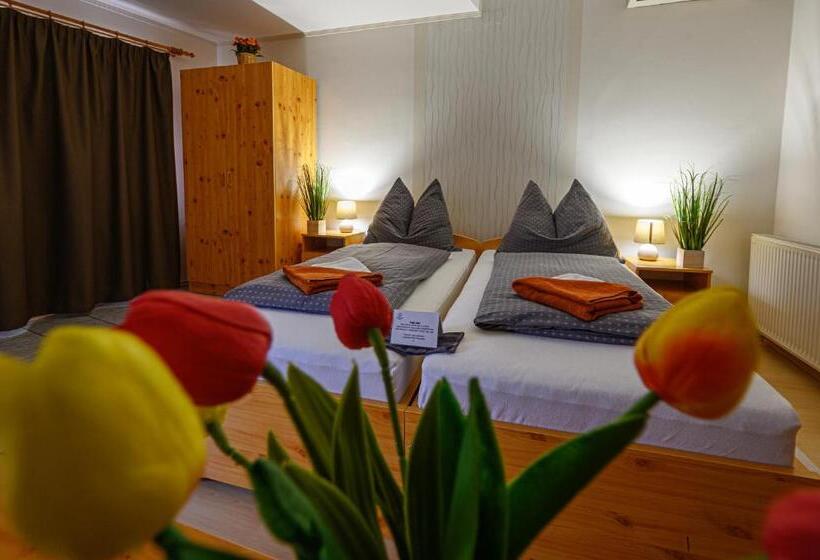 ベッドアンドブレックファースト Nádasdi Ház