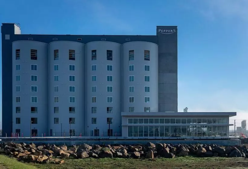 ホテル Peppers Silo