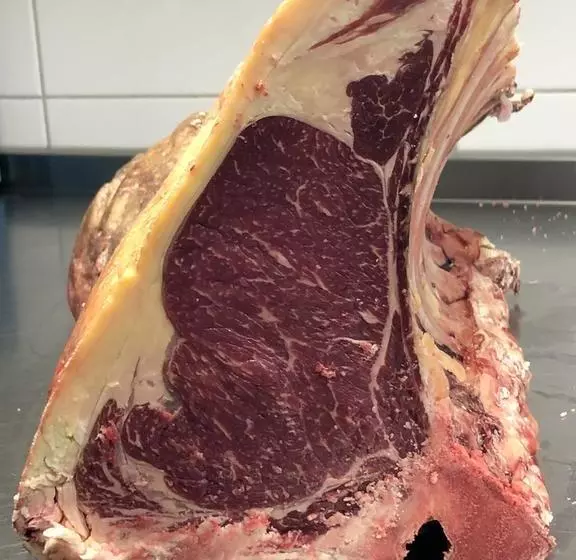 هتل Slapen Bij Hofman