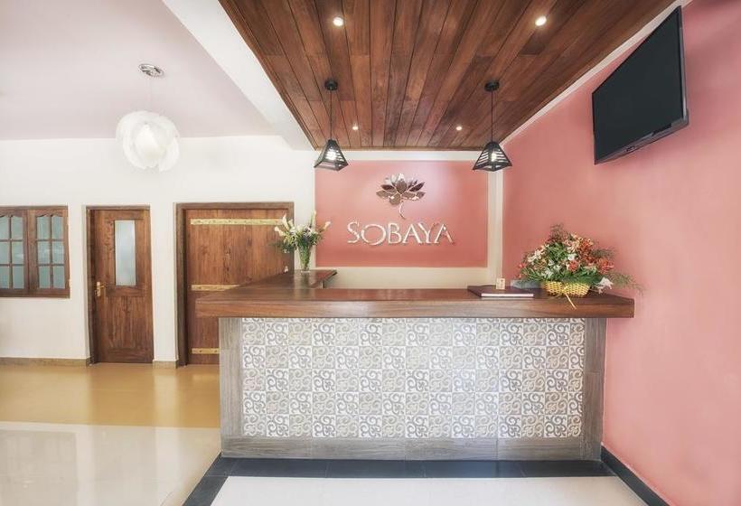 فندق Sobaya