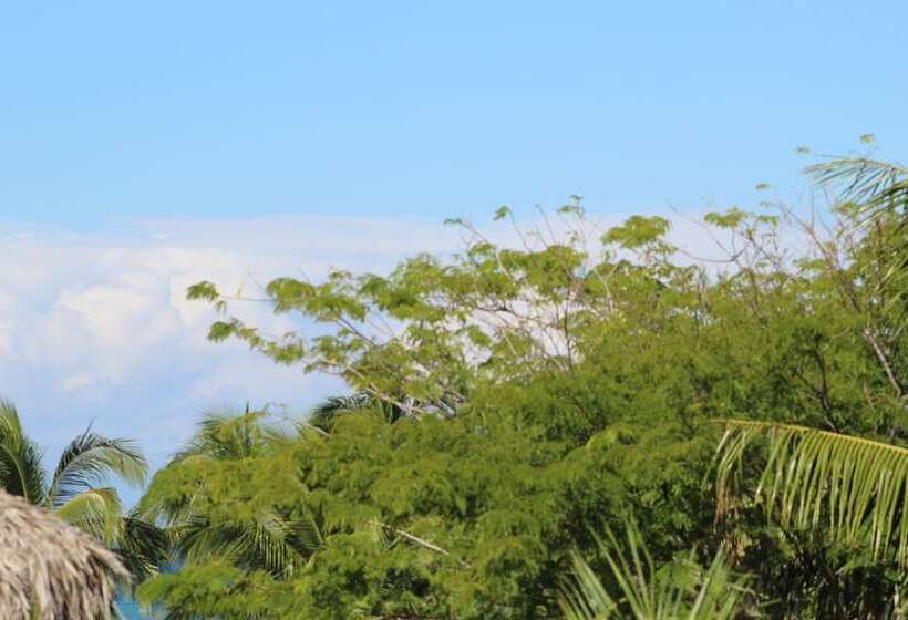 בית מלון כפרי Villas Amalia