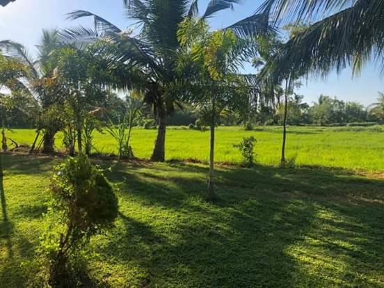 فندق Wild Breeze