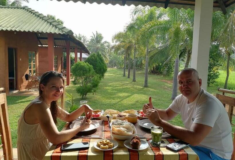 فندق Wild Breeze