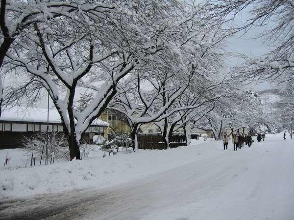 ريوكان Onsen Yupopo