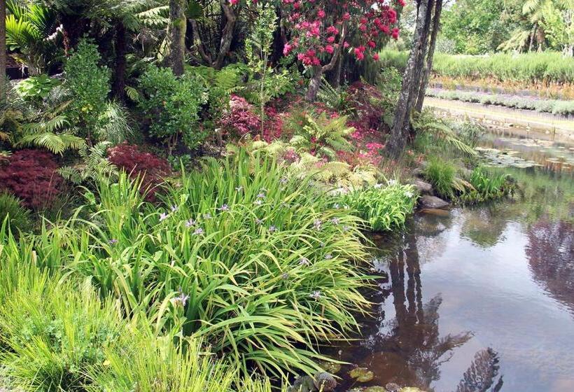 Brecon Pond Bed & Breakfast