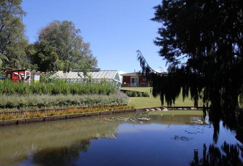 Brecon Pond Bed & Breakfast