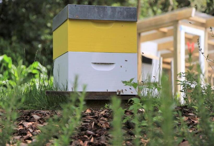 Brecon Pond Bed & Breakfast