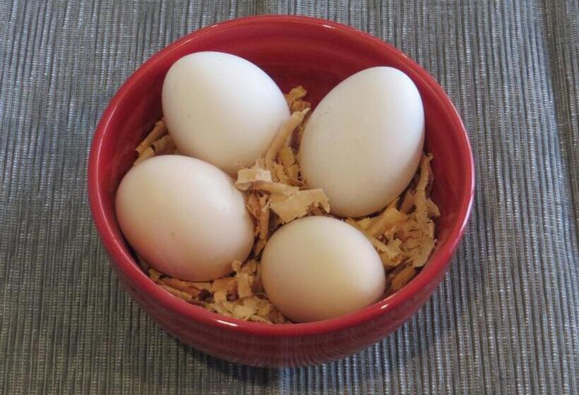 Brecon Pond Bed & Breakfast