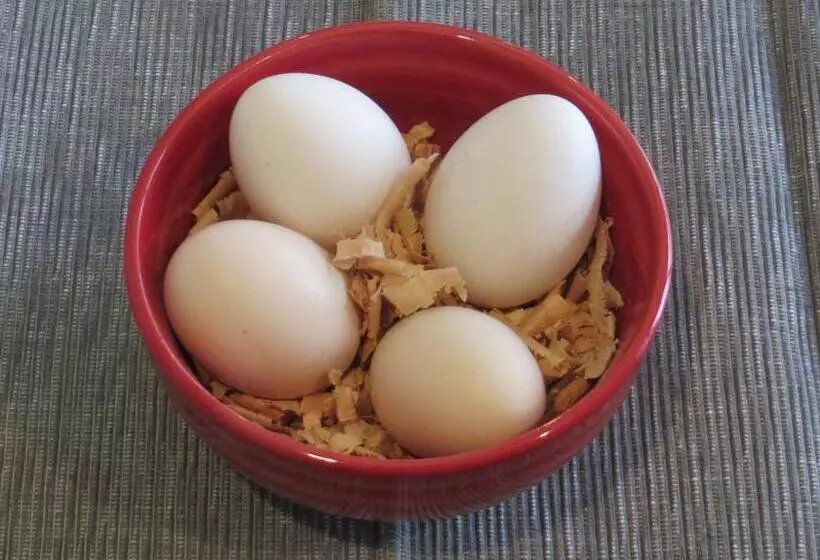 Brecon Pond Bed & Breakfast