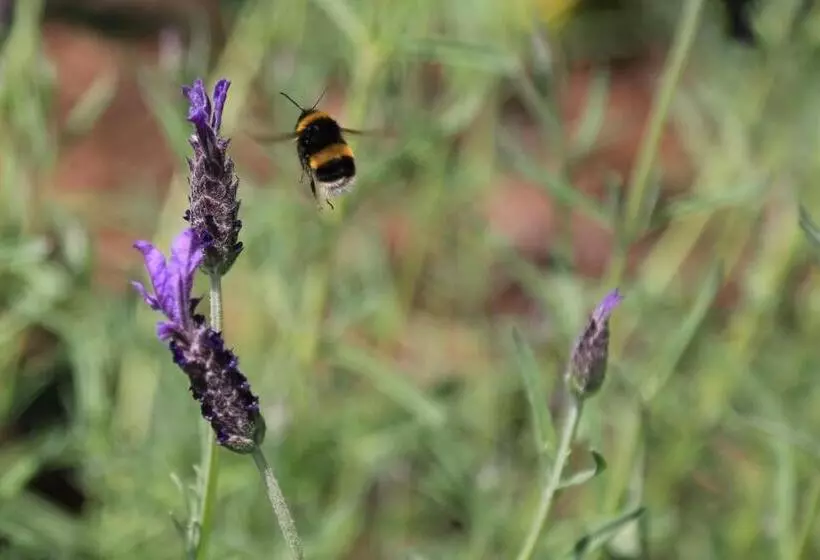 Brecon Pond Bed & Breakfast