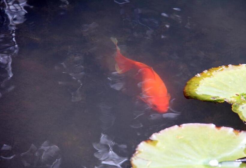 Brecon Pond Bed & Breakfast