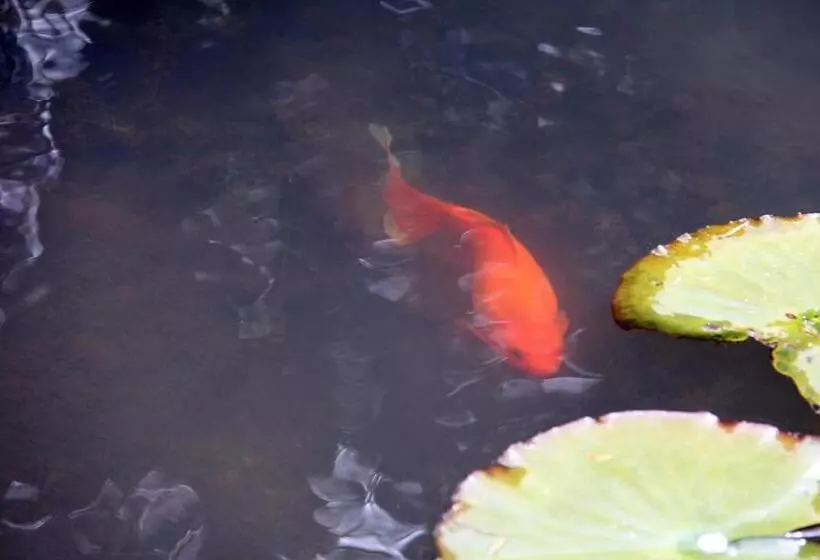 Brecon Pond Bed & Breakfast