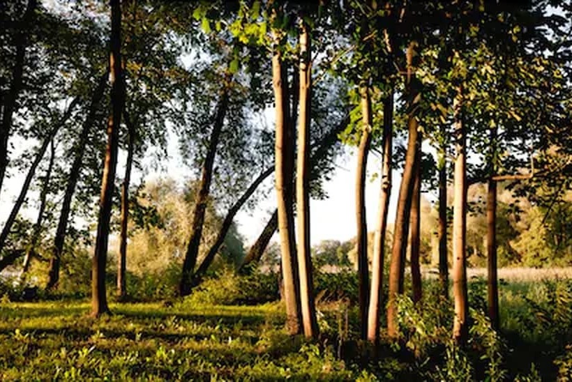 호텔 Landgut Nedlitz