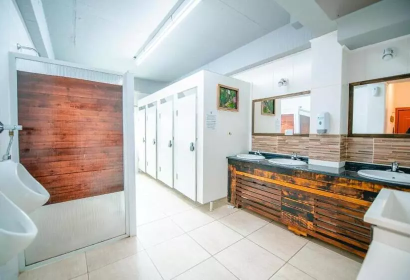 Oshovia Hostel