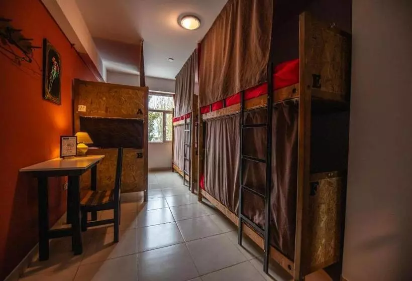 Oshovia Hostel