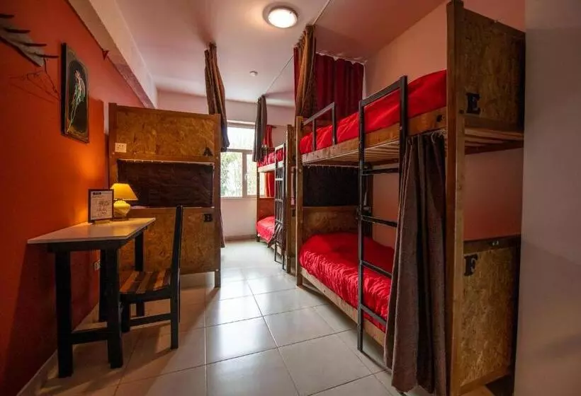 Oshovia Hostel
