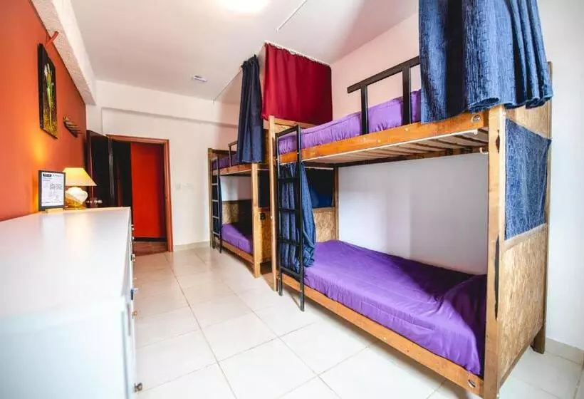 Oshovia Hostel