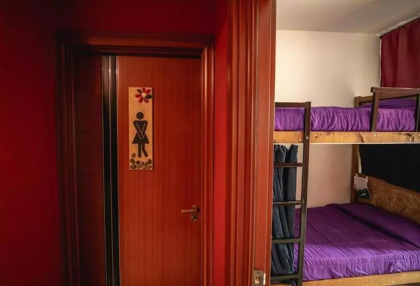Oshovia Hostel