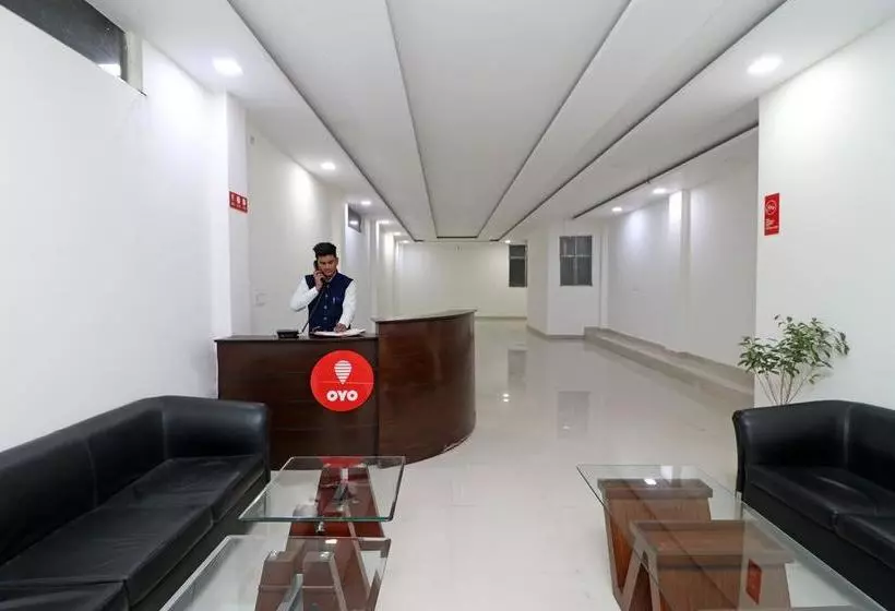 Oyo 10668 Hotel Viditva 3