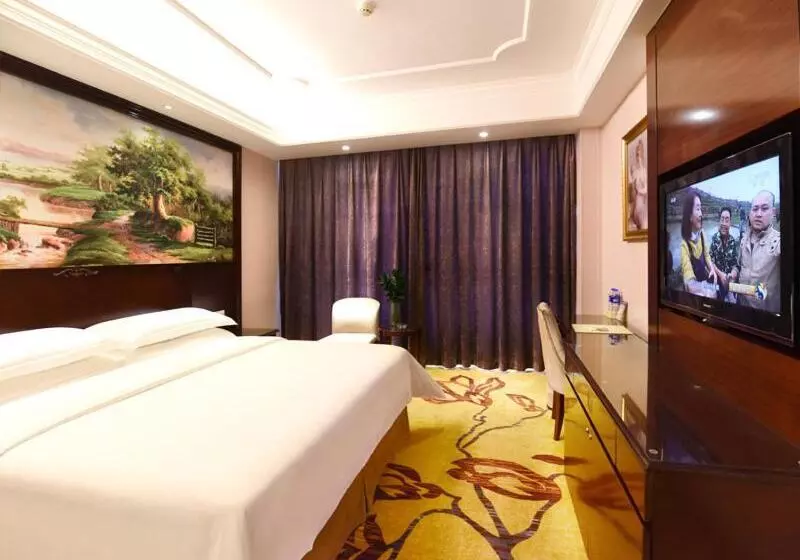 Vienna International Hotel Hunan Changsha Time Dijing