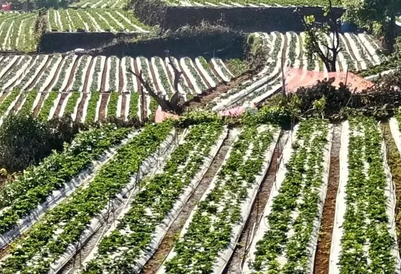 ホテル Shivanya Palace Mahabaleshwar