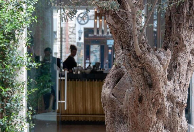 בית מלון כפרי S Paul City