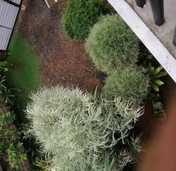 تختخواب و صبحانه Sun & Moon Good View Villa