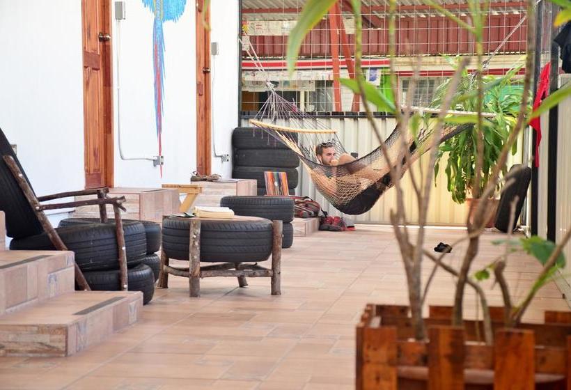 Arenal Container Hostel