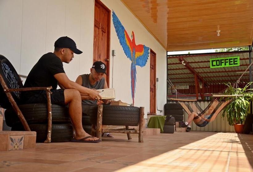 Arenal Container Hostel