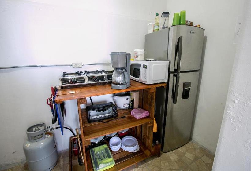 Arenal Container Hostel