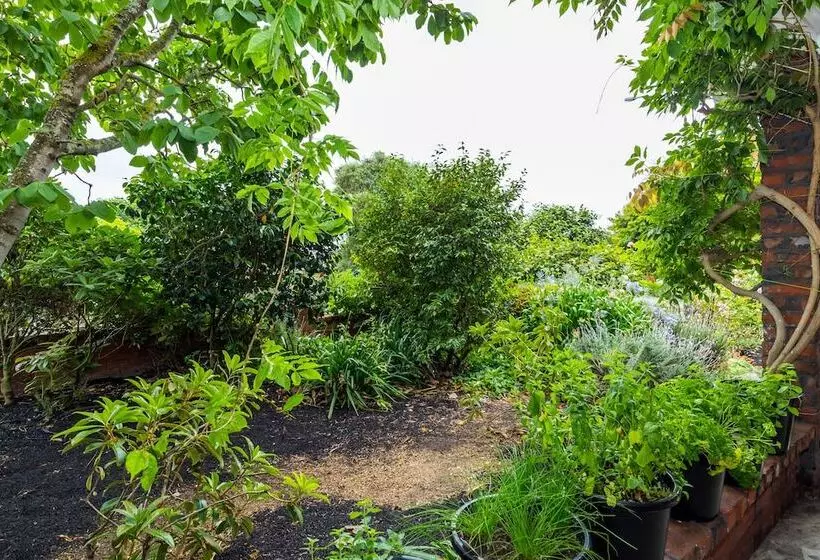 Aamiaismajoitus (B&B) The Sanctuary Beach Side And Spa