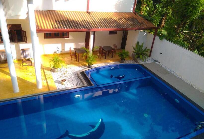 فندق Galle Camellia