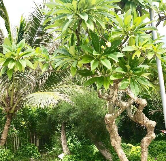 Oceanward Hotel & Resort