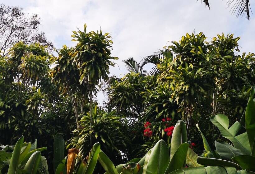 Garden Stone   Hostel