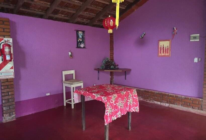 Garden Stone   Hostel