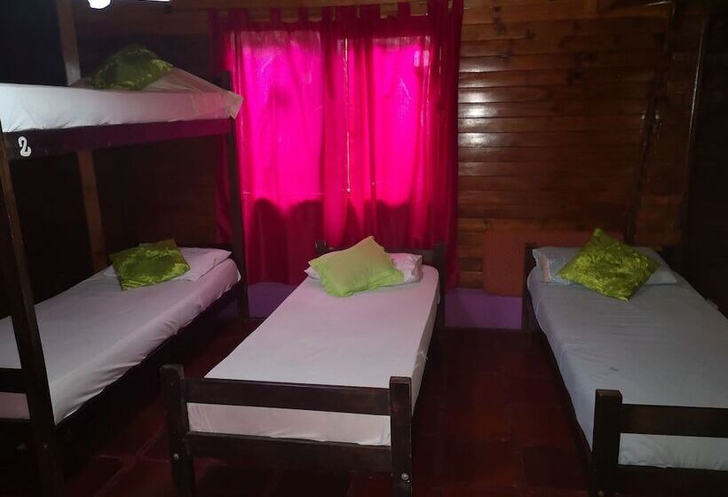 Garden Stone   Hostel