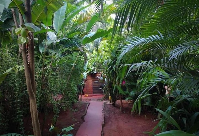 Garden Stone   Hostel