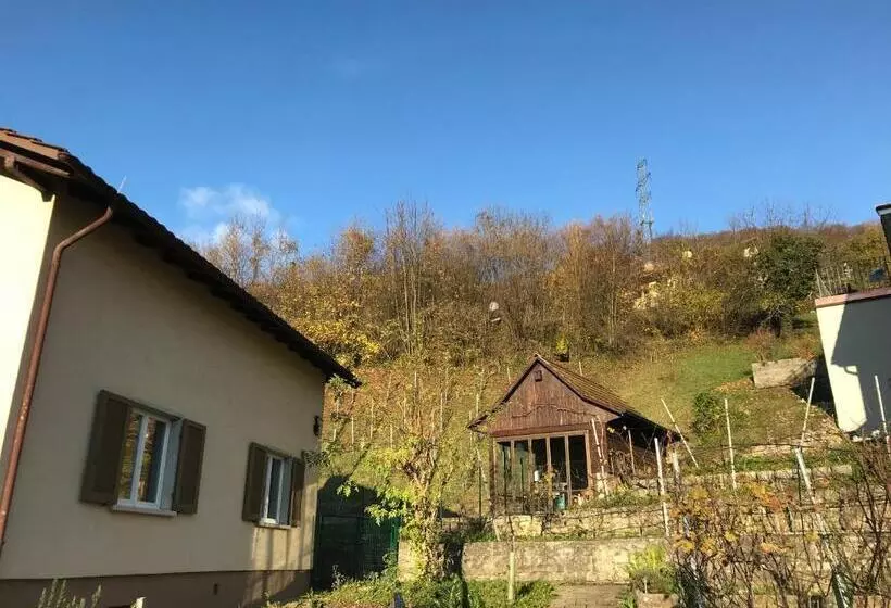 Aamiaismajoitus (B&B) Bed N Breakfast Obermumpf