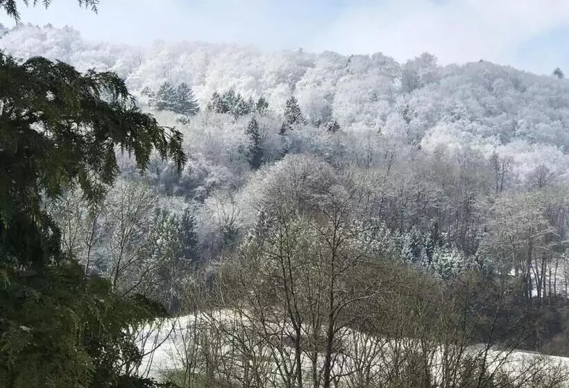 Aamiaismajoitus (B&B) Bed N Breakfast Obermumpf