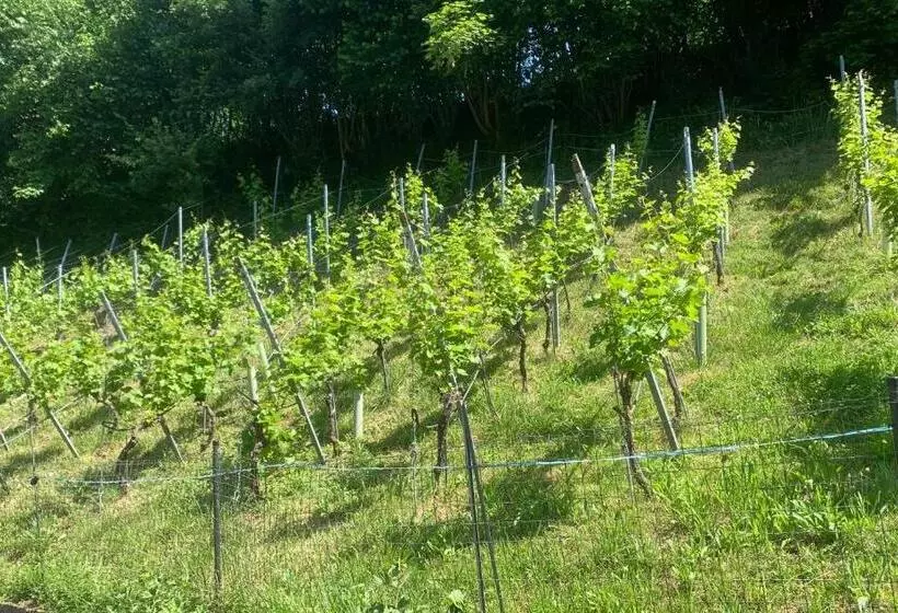 Aamiaismajoitus (B&B) Bed N Breakfast Obermumpf