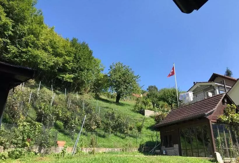 Aamiaismajoitus (B&B) Bed N Breakfast Obermumpf