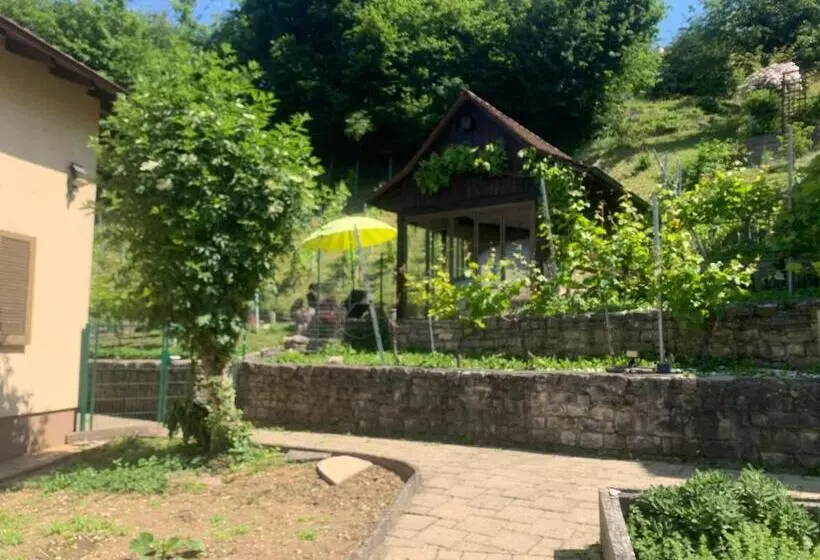 Aamiaismajoitus (B&B) Bed N Breakfast Obermumpf