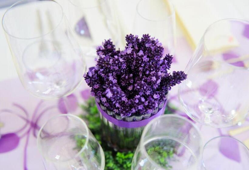 בית מלון כפרי Marcincak