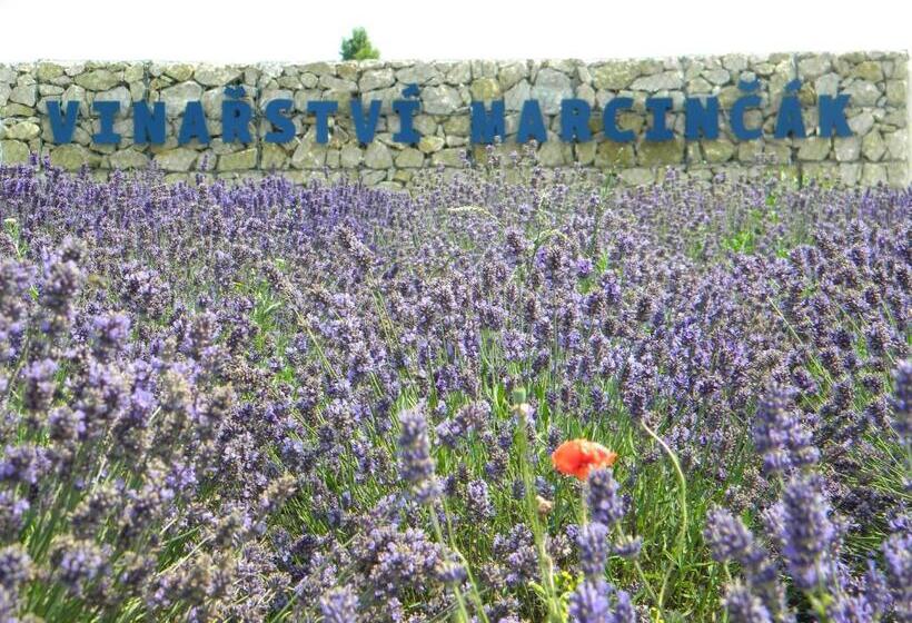 בית מלון כפרי Marcincak