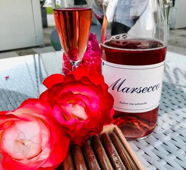 בית מלון כפרי Marcincak