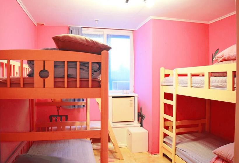 Sumsum Guest House   Hostel